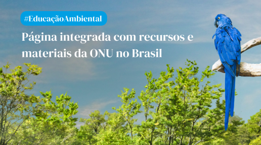 #EducaçãoAmbiental: Página integrada com materiais da ONU 