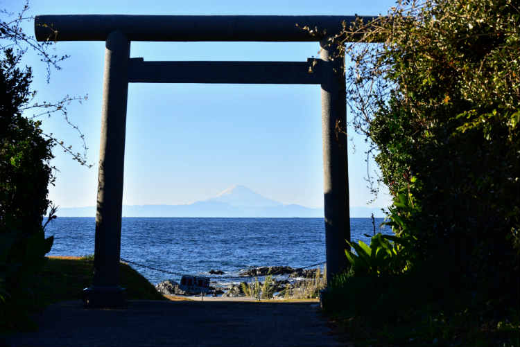 富士山見えた