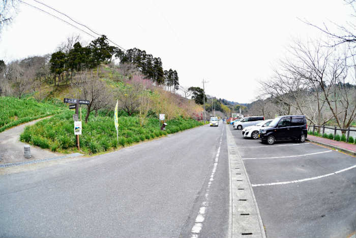 佐久間ダムと水仙と駐車場