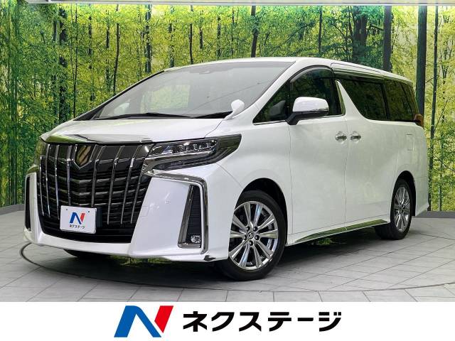 トヨタアルファード純正9型ナビ フリップダウンモニター 中古車画像