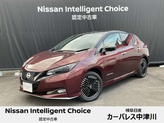 日産&nbsp;リーフ&nbsp;e+ G&nbsp;プロパイロット・全周囲カメラ&nbsp;岐阜県