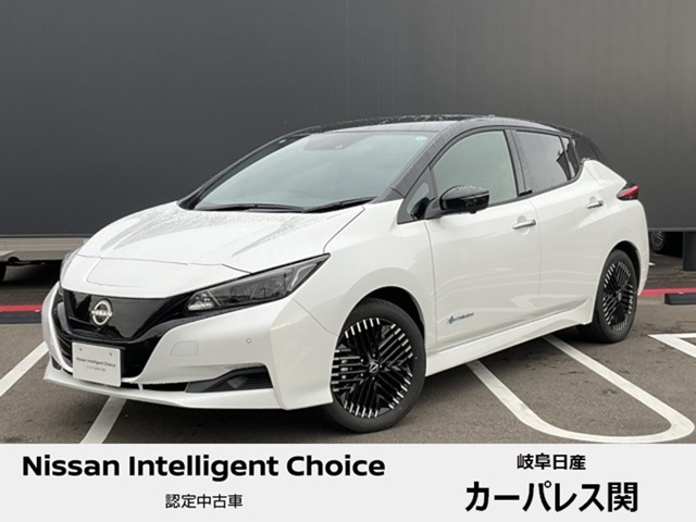 日産&nbsp;リーフ&nbsp;X Vセレクション&nbsp;プロパイロット 全方位カメラ ETC2.0&nbsp;岐阜県