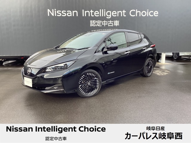 日産&nbsp;リーフ&nbsp;X Vセレクション&nbsp;プロパイロット 寒冷地仕様 全方位カメラ&nbsp;岐阜県