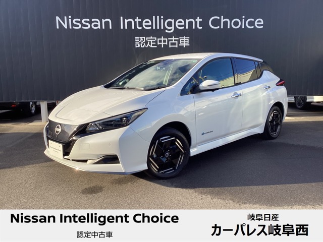 日産&nbsp;リーフ&nbsp;e+ X&nbsp;プロパイロット 寒冷地仕様 全方位カメラ&nbsp;岐阜県