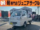 ダイハツ&nbsp;ハイゼットトラック&nbsp;660 スタンダード 3方開 4WD&nbsp;