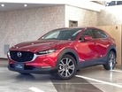 マツダ&nbsp;CX-30&nbsp;2.0 X Lパッケージ 4WD&nbsp;ETC 2カメラドラレコ&nbsp;埼玉県