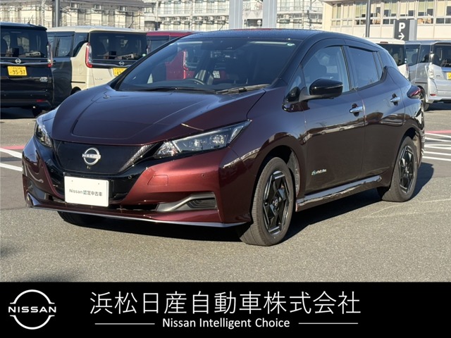 日産&nbsp;リーフ&nbsp;e+ X&nbsp;プロパイロット&nbsp;静岡県