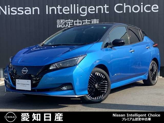 日産&nbsp;リーフ&nbsp;e+ G&nbsp;コネクトナビ・全周囲カメラ・BOSE&nbsp;愛知県