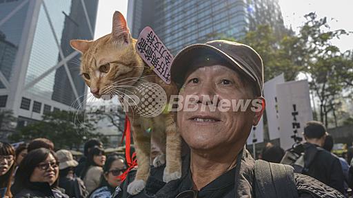 動物の権利求めるデモに1000人、香港