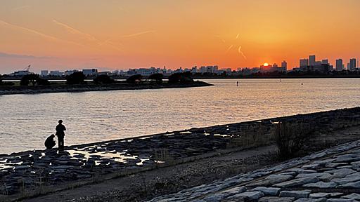 葛西はよく考えると「島」だった。16年住んで分かった「葛西の歩き方」 - SUUMOタウン