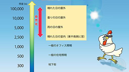 第15回　光は「いつ浴びるか」より「浴びた量」 冬季うつのメカニズム