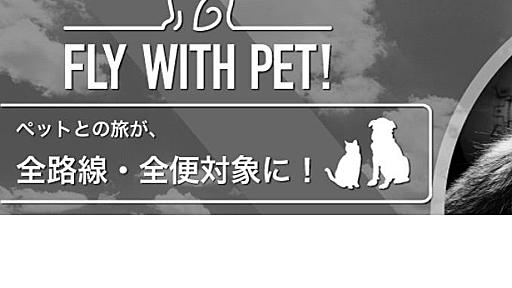 笠井信輔『日本の航空会社　スターフライヤーが全便ペット同乗へ！しかし‼️』