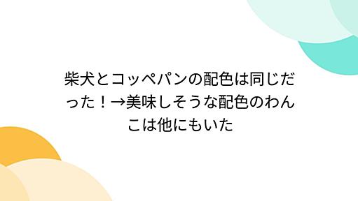 柴犬とコッペパンの配色は同じだった！→美味しそうな配色のわんこは他にもいた