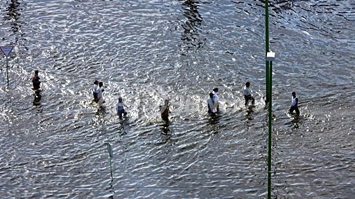 メキシコの街にワニ出没の危険性高まる、洪水の影響