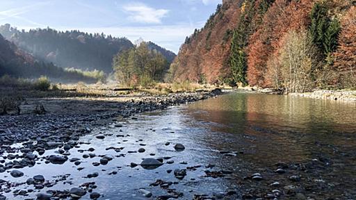 自然保護か河川の利用か　スイスが抱えるジレンマ