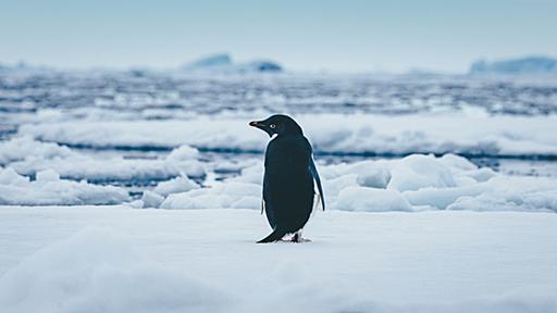 なぜデスクトップ「Linux」のユーザーは一向に増えないのか？