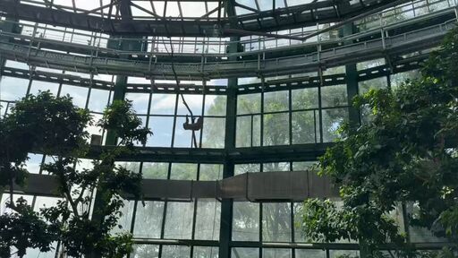 今年リニューアルした「千葉市動物公園」の動物科学館、ヤバない？ 自然博物館的な側面を持ち、個人的に思う「良い動物園」の条件を満たしている→「スコールで急いで逃げるナマケモノ」もいいぞ