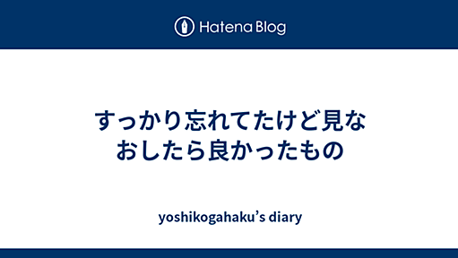 すっかり忘れてたけど見なおしたら良かったもの - yoshikogahaku’s diary