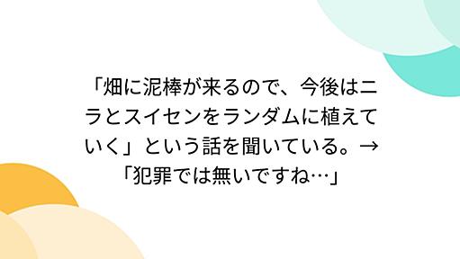 「畑に泥棒が来るので、今後はニラとスイセンをランダムに植えていく」という話を聞いている。→「犯罪では無いですね…」