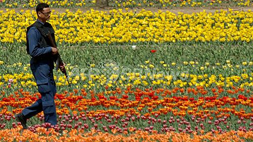 アジア最大のチューリップ園、インド・カシミール地方にオープン