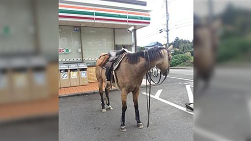 神奈川県のコンビニ駐車場にすごいの停まってた！！！