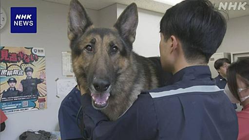 出張の帰りに成田空港でなぜか麻薬探知犬の反応が...｢一応ご協力いただけますか？｣と持ち物をいろいろ見せて分かった結果にほっこり