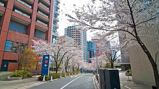 「話のわかりやすい人」と「わかりにくい人」のちがい