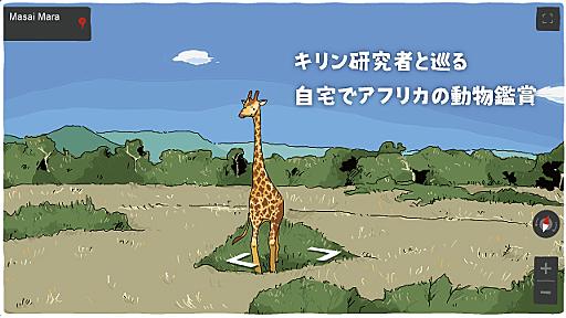 キリン研究者と巡る 自宅でアフリカの動物鑑賞