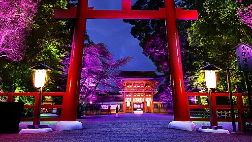 京都で「下鴨神社 糺の森の光の祭」8/17から　チームラボによる神秘的なライトアップイベント - はてなニュース