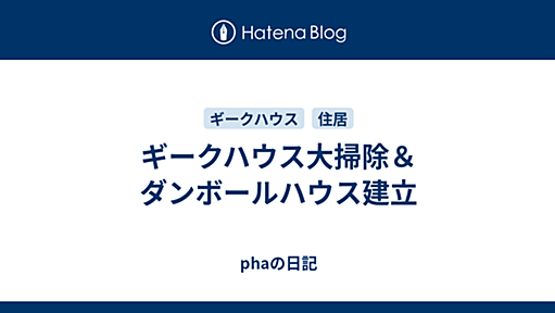 ギークハウス大掃除＆ダンボールハウス建立 - phaのニート日記