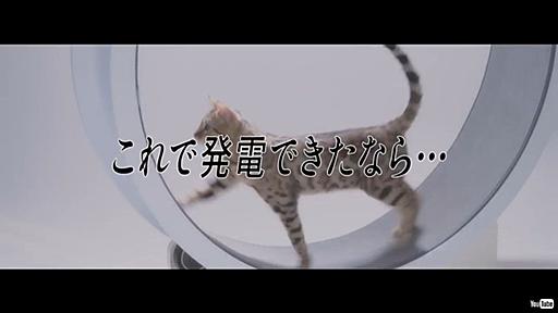 ネコに発電はできるか？　クロネコヤマトがキャットホイールで実験→シンプルな結論がじわじわくる