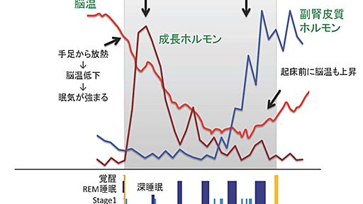 健やかな睡眠のカギを握る「メジャースリープ」とは