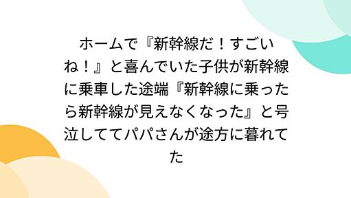 ホームで『新幹線だ！すごいね！』と喜んでいた子供が新幹線に乗車した途端『新幹線に乗ったら新幹線が見えなくなった』と号泣しててパパさんが途方に暮れてた