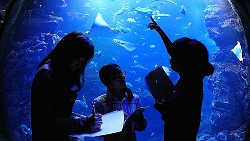 夜の京都水族館で体験する、謎解きタウンの「リアル謎解きゲーム」 11/8から - はてなニュース