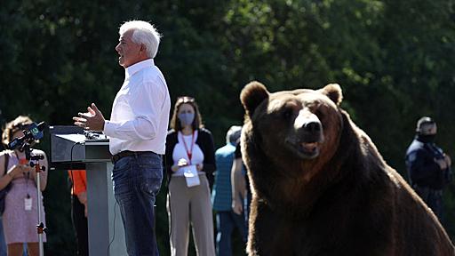 選挙集会にヒグマ登場、州知事候補に非難 米カリフォルニア