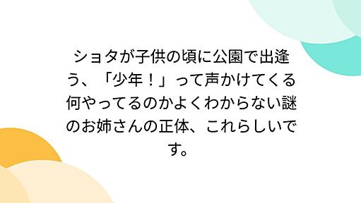 ショタが子供の頃に公園で出逢う、「少年！」って声かけてくる何やってるのかよくわからない謎のお姉さんの正体、これらしいです。