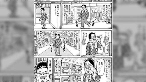 お医者さんは「涼しい時間帯に散歩して」と言うけど一体、何時に歩くことを想定しているの？←「イオン散歩が最適解な時代」「イオンも推奨してる」