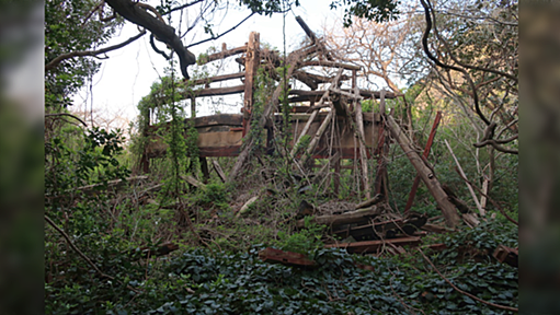 【売られた有人島】50年前に島全体が苦渋の決断で売却された話。そこには予想外の原因があった。→「日本の未来みたい」「たった一つの出来事が島の運命を決めてしまった」