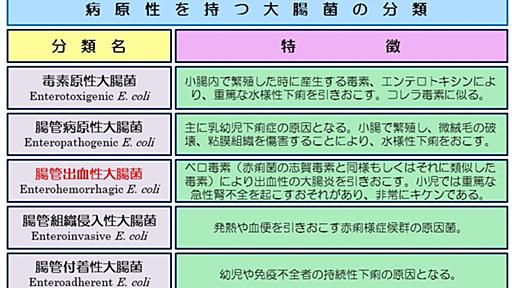 食中毒に思う事（後編） - とらねこ日誌