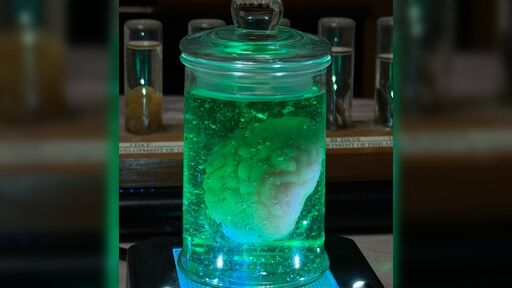 【若干閲覧注意】キャンドゥの脳みそがよくできてるという噂を聞きつけてゲットしてきました→様々なごっこ遊びにも使えそう