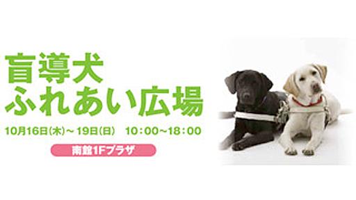 東京都世田谷区で盲導犬ふれあいイベントが開催