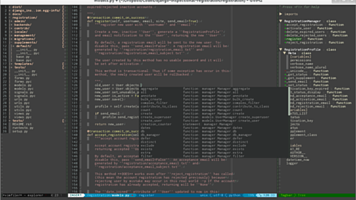 Vimを最強のPython開発環境にする2 - Λlisue's blog