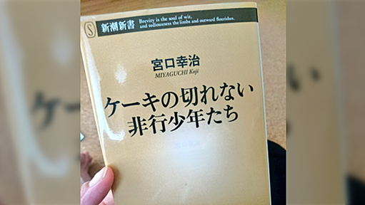 『ケーキの切れない非行少年たち』は読めば読むほどエグい内容過ぎると感じた話…読んで「考えが変わった」と共感する流れも