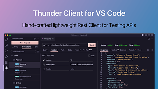 Thunder Client - Rest API Client Extension for VS Code