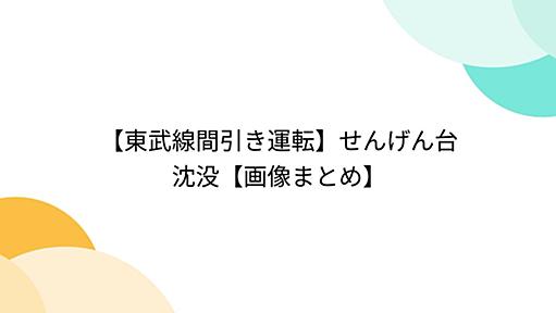 【東武線間引き運転】せんげん台沈没【画像まとめ】