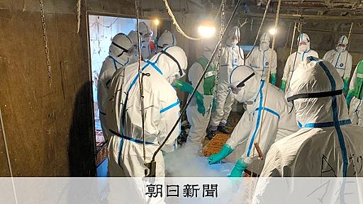 千葉・八街の農場で鳥インフルエンザ、6万6千羽の鶏を殺処分へ：朝日新聞デジタル