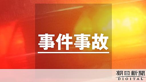 自動停止機能を試して？知人2人はねた疑い　軽乗用車運転の男を逮捕：朝日新聞デジタル