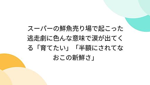 スーパーの鮮魚売り場で起こった逃走劇に色んな意味で涙が出てくる「育てたい」「半額にされてなおこの新鮮さ」