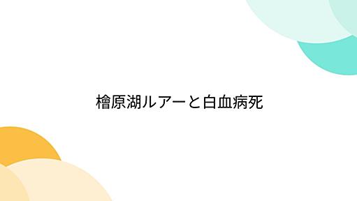 檜原湖ルアーと白血病死