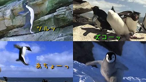 ペンギンが愛しくなること間違いなしのハプニング映像集（動画） : らばQ